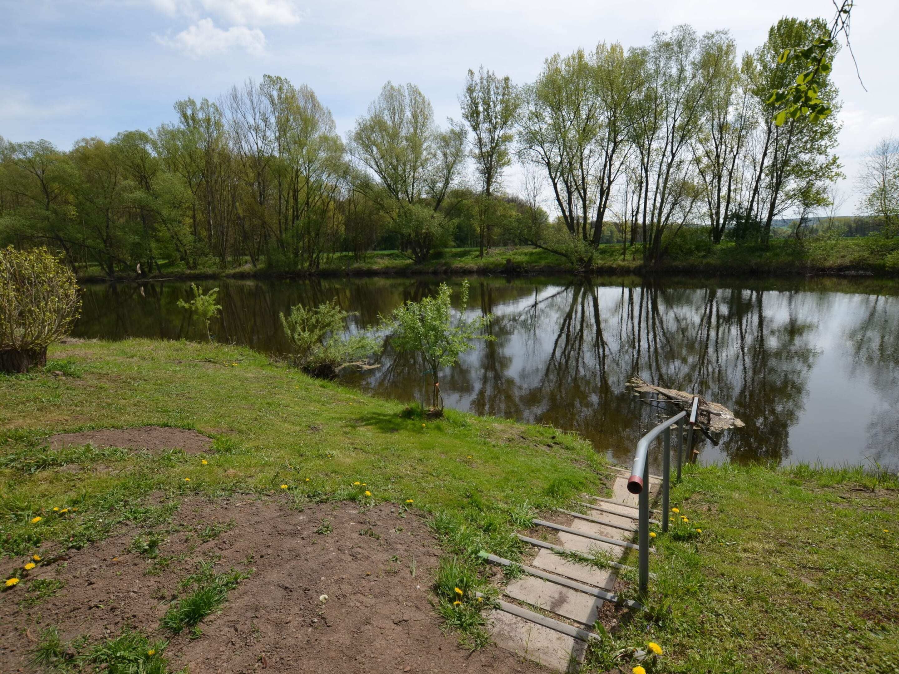 A riverside path with a wooden walkway leading to a dock, surrounded by lush greenery and trees.