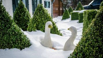 Ferienhaus | Garten