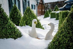House | Garden
