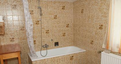 Spacious Holiday Home in Landau near Lake