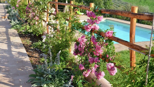 A garden with a wooden fence, a pool, and a walking path. - Farmhouse in Montalto Near Sandy Beach (Montalto di Castro)