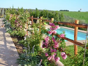 A garden with a wooden fence, a pool, and a walking path. - Farmhouse in Montalto Near Sandy Beach (Montalto di Castro)