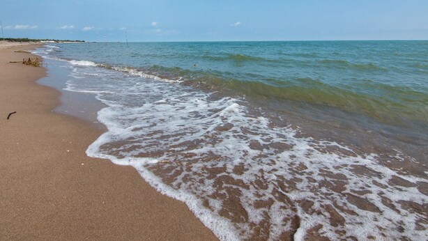 A beach with clear blue water, sandy shore, and a distant shoreline. - Loving Apartment in Rosolina Mare near Venice (Rosolina)