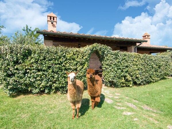House | Garden