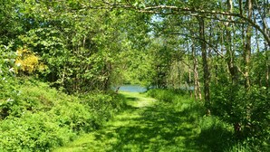 Exterior - Comfortable Cottage in the Heart of a Beautiful Natural Area With Private Ponds (Bertogne)