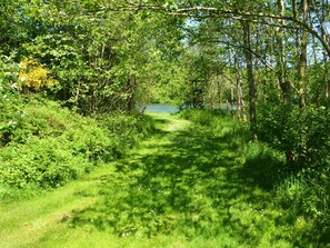 Uklassifisert bilde, 3 av 37, knapp