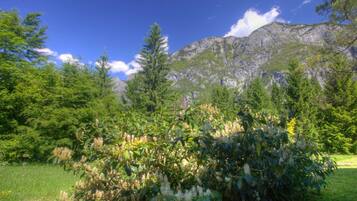 Departamento | Vista desde la propiedad