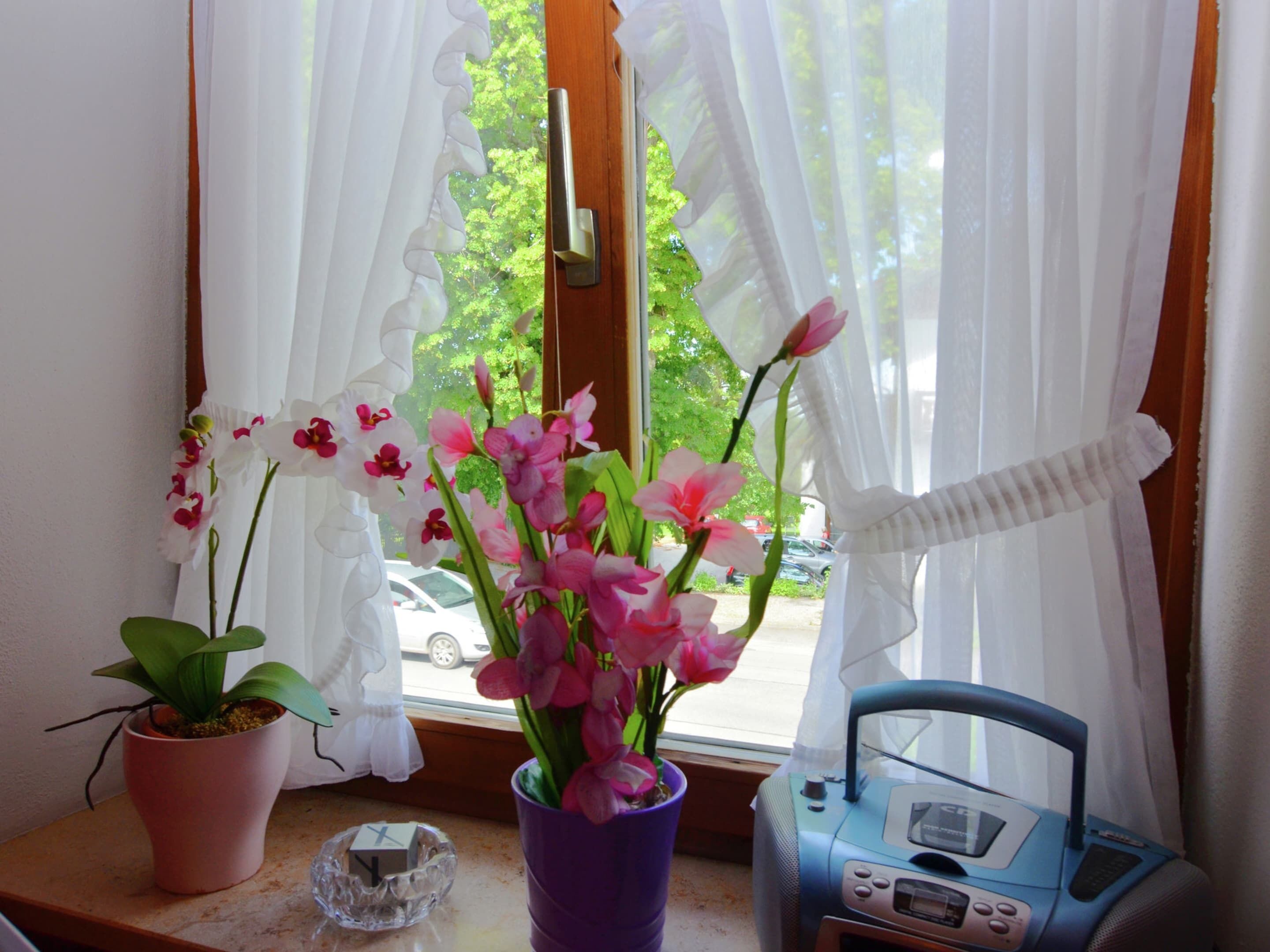 A window with sheer curtains, a potted plant, and a radio on a windowsill.