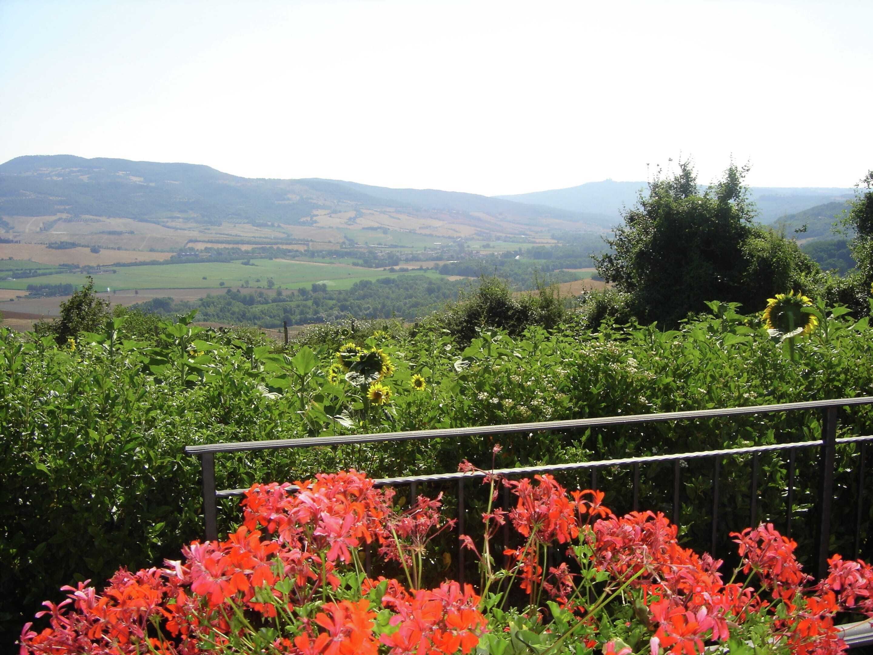 Casa | Vista dalla struttura