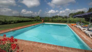 House | Pool | Outdoor pool