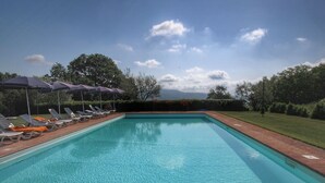 A rectangular swimming pool with clear blue water, surrounded by a brick deck. There are lounge chairs and umbrellas along the poolside. - Farmhouse in Proceno With Pool and Hill Views (Proceno)