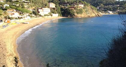 House With Direct Access and Private Terrace at Sea Near Capoliveri
