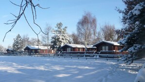 Une rangée de chalets en rondins, dont les toits sont recouverts de neige, entourés d’une clôture en bois, se dressent sur fond d’arbres sans feuilles et d’un ciel dégagé.