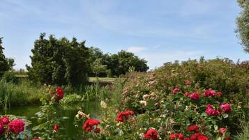 Apartment | View from property