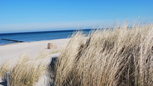 Une plage de sable avec de hautes herbes au premier plan.