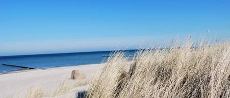 Apartment | View from property