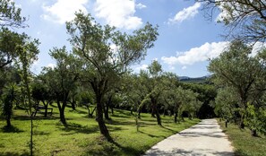 View from property - Charming Villa in Maida With Pool & Garden (San Pietro a Maida)