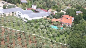 A residential area with multiple houses, some with solar panels, surrounded by greenery and trees. - Charming Villa in Maida With Pool & Garden (San Pietro a Maida)