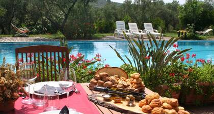 Charming Villa in Maida With Pool & Garden