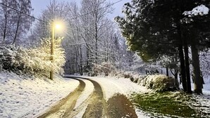 A snow-covered road curving through a forest with bare trees and a street lamp. - Holiday Home With a Convenient Location in the Giant Mountains for Summer & Winter (Rudník)
