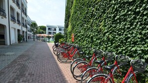 A row of red bicycles parked against a green ivy-covered wall.