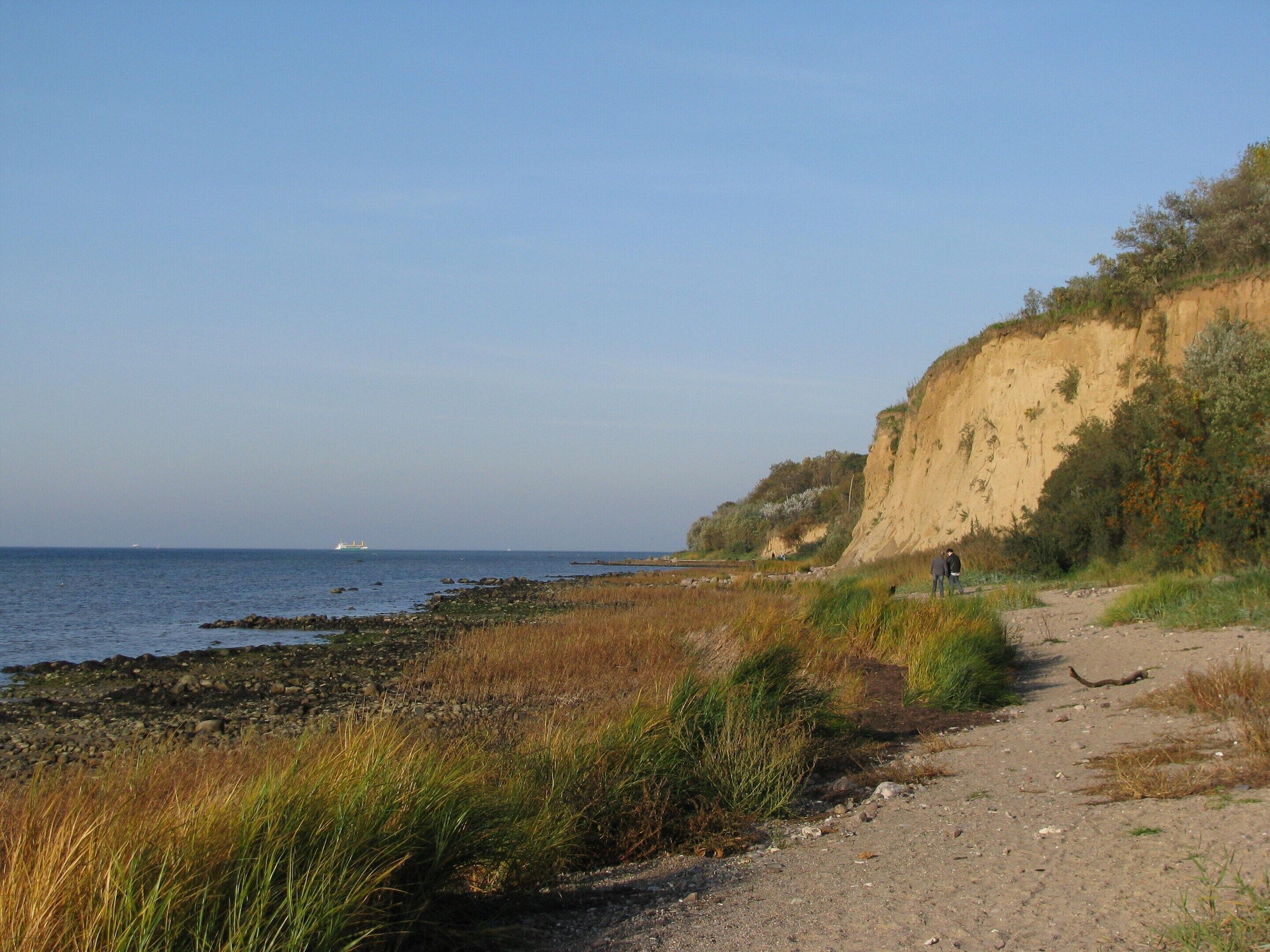 A coastal path with a cliff and vegetation.