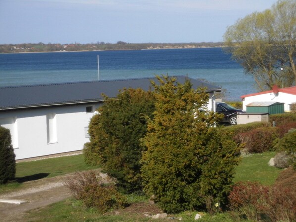 A coastal view with a white building, a parked car, and a tree in the foreground.