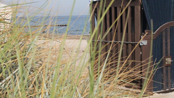 Una cabaña en la playa con un toldo a rayas, ubicada sobre una playa arenosa con césped al frente.