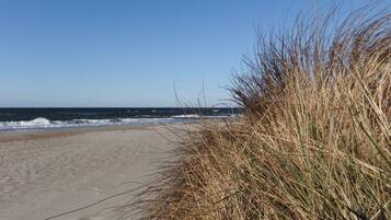 Ferienhaus | Blick von der Unterkunft