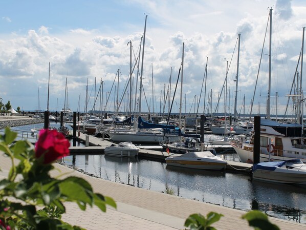 A marina with multiple boats docked, a clear sky, and a rose in the foreground. - Idyllische Wohnung an der Ostseekueste (Damshagen)