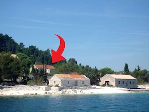 Eksteriør
