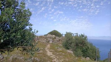 Vila | Pemandangan dari properti