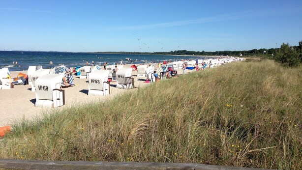 Een strand met rijen witte ligbedden, waarvan sommige nummeringen hebben, en een gazon op de voorgrond.