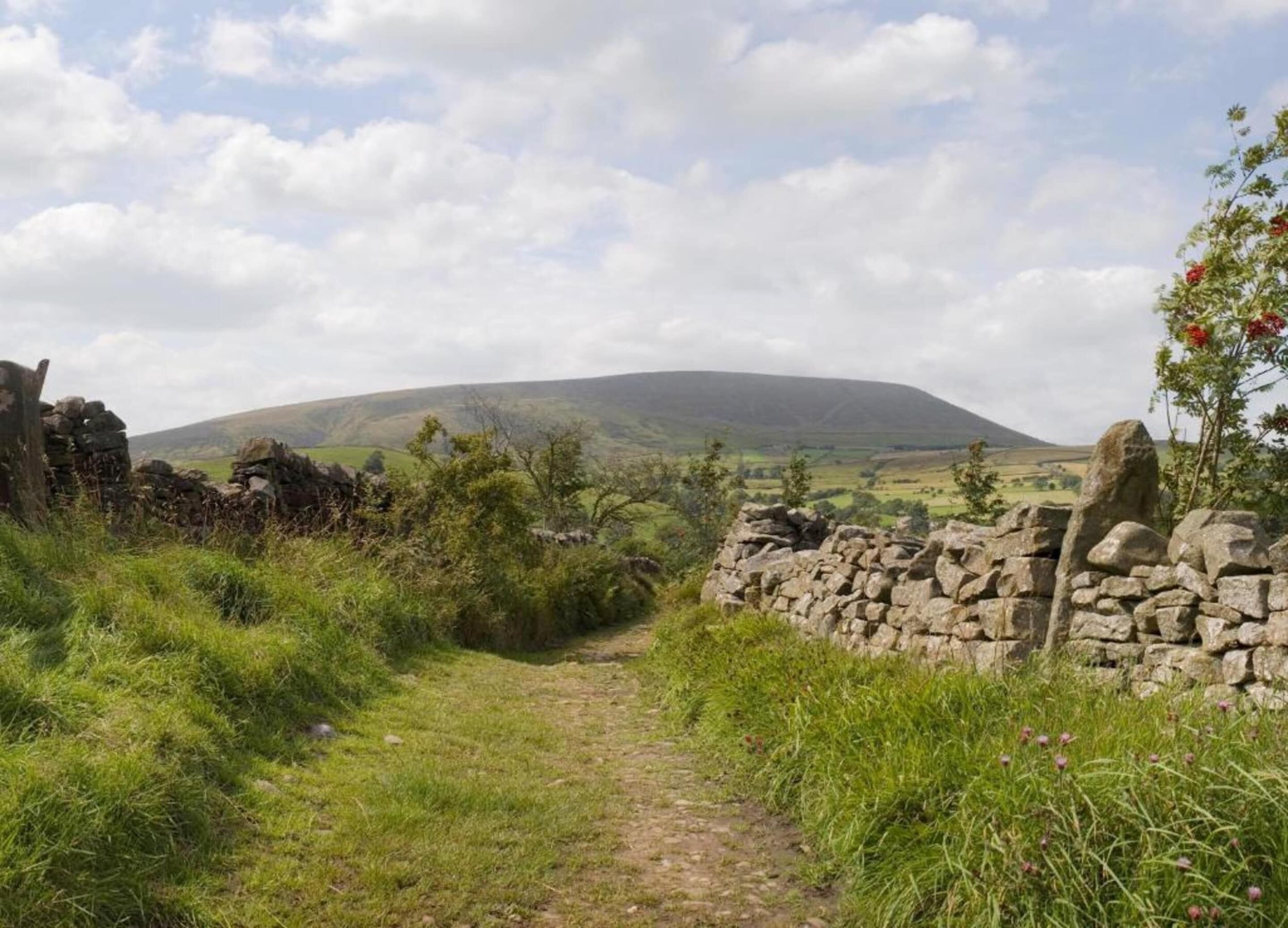 A stone wall with a grassy path leading to a hill.