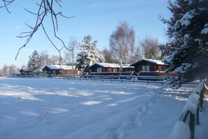 Garden - Cottage in Brookland Near Romney Marsh (Romney Marsh)