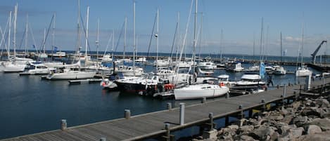 A marina with multiple boats docked, a wooden pier, and rocky shoreline.