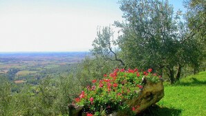 A stone planter with red flowers on a grassy hill with a view of a valley. - Belvilla by OYO Leccio Lauro Quattro (Cortona)