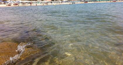 Cosy and Comfortable Apartment in Marina di Massa, Near the Beach