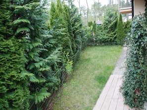 Stroll through the serene garden, surrounded by lush ferns and coniferous trees, along a winding pathway.