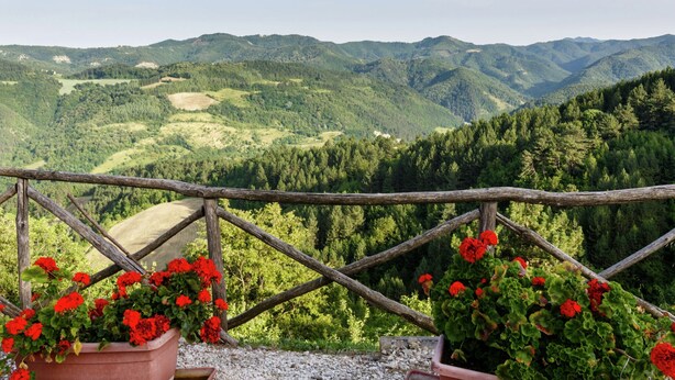 Une vue magnifique depuis un balcon doté d’une balustrade en bois, donnant sur un paysage montagneux avec de vastes forêts et un ciel dégagé.