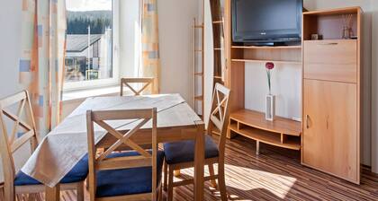 Enticing Apartment in Sandl near Skiing Area