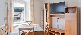 Enticing Apartment in Sandl near Skiing Area