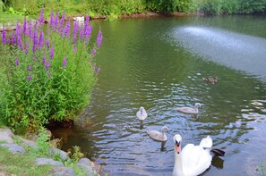 Apartment | View from property - Ferienwohnung mit Eigener Terrasse in Huddingen (Bad Wildungen)