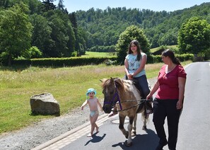 Apartment | Interior detail - Ferienwohnung mit Eigener Terrasse in Huddingen (Bad Wildungen)