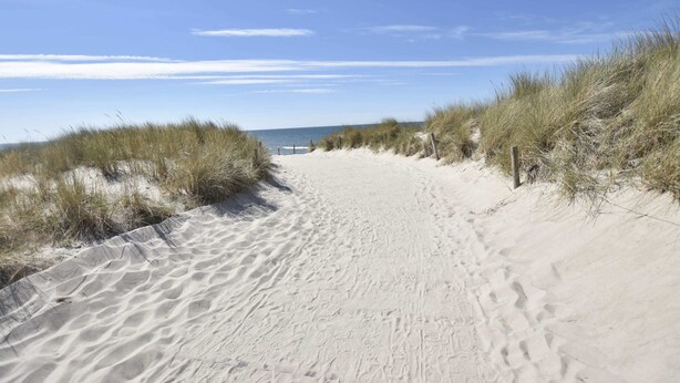 A sandy beach path with dunes on either side. - Holiday Home With Terrace in Graal-muritz (Graal Mueritz)
