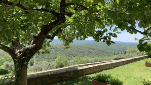 A stone wall with a grassy area and potted plants. - Villa in Tuscany With Pool and Wine Tasting (Pergine Valdarno)
