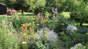 A garden with various flowers and plants, a wooden structure, and a person in the background. - Gemutliche Ferienwohnung mit Garten in Walkendorf (Walkendorf)