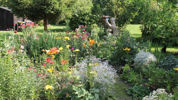 Un jardin avec différentes sortes de fleurs et de plantes, une structure en bois et une personne à l’arrière-plan.