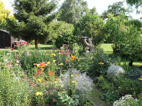 Un jardin avec différentes sortes de fleurs et de plantes, une structure en bois et une personne à l’arrière-plan.