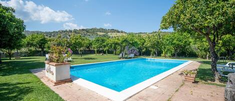 House | Pool | Outdoor pool